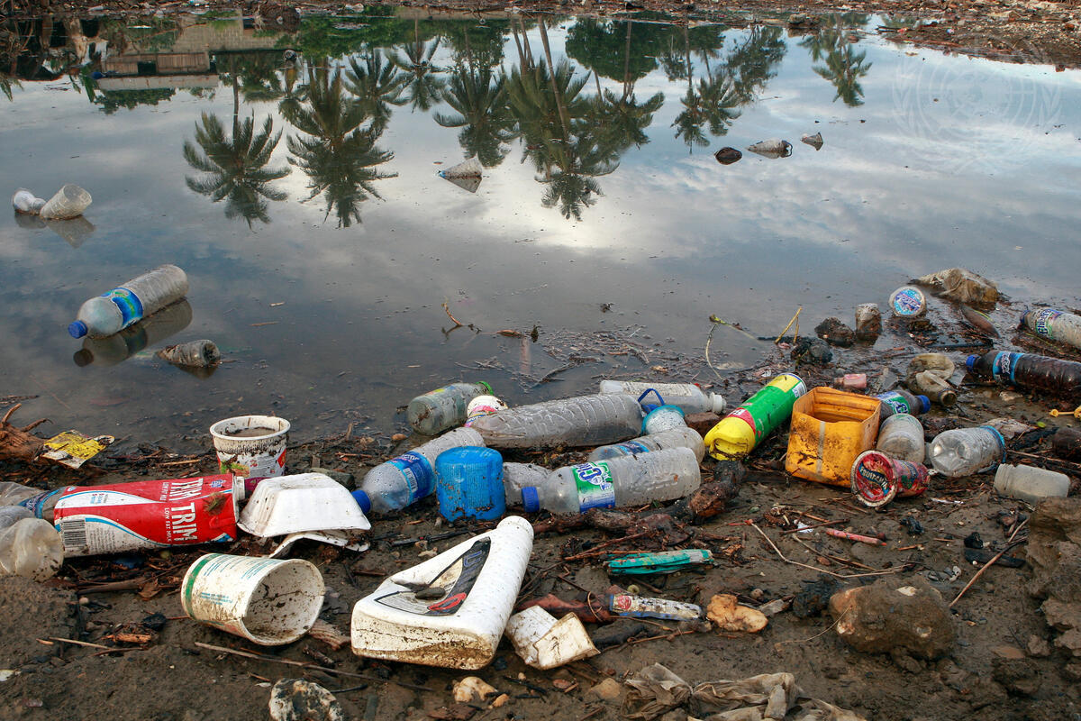 Fig. Contaminação da agua