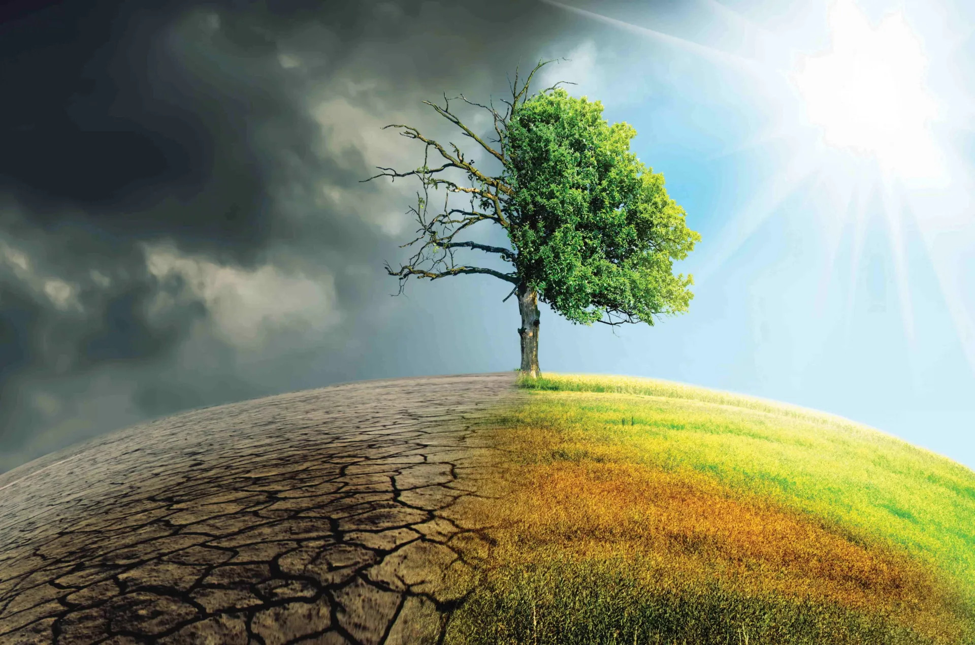 Fig. Mudanças climáticas
