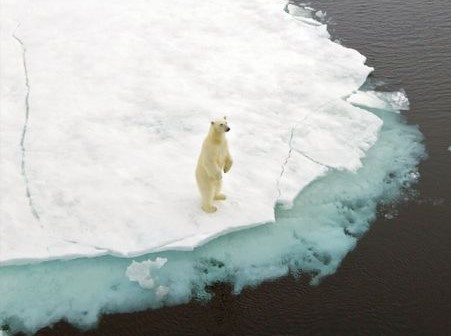 Figura - Imagem alusiva ao impacto do aquecimento global