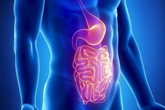 Fig. Doenças gastroinstestinais